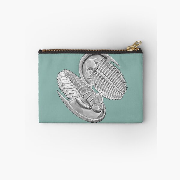 Item preview, Estaingia bilobata, Cambrian trilobite designed and sold by Katrina Kenny.
