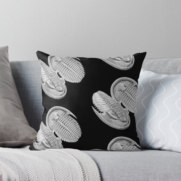 Item preview, Estaingia bilobata, Cambrian trilobite designed and sold by Katrina Kenny.