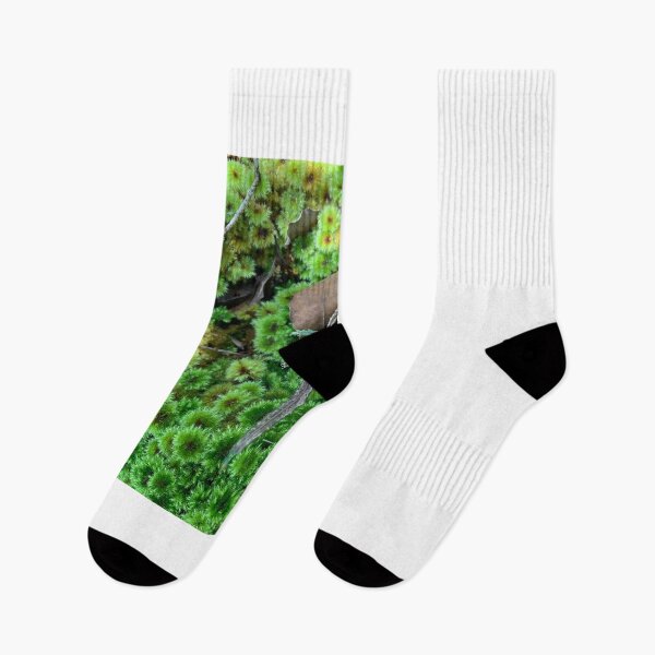 Item preview, Lancewood and moss designed and sold by Terra Dumont.