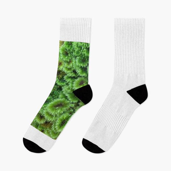 Item preview, Umbrella moss designed and sold by Terra Dumont.