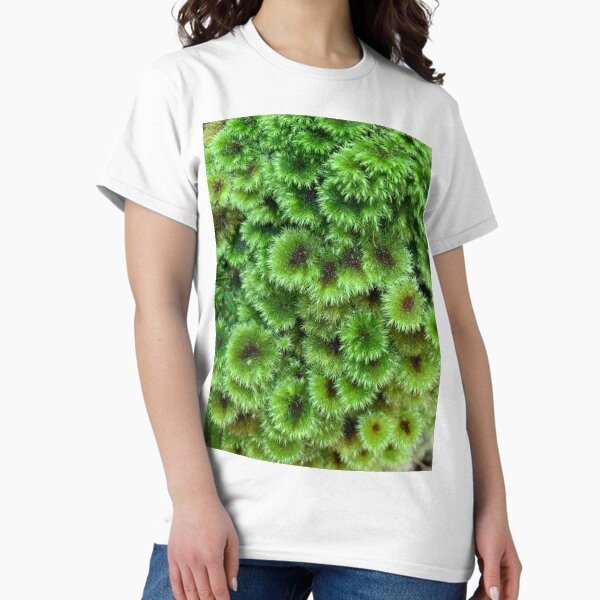 Umbrella moss Classic T-Shirt