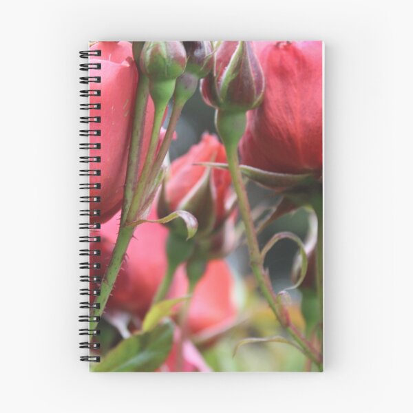 Artikelvorschau, Durch die Rosen entworfen und verkauft von melips.