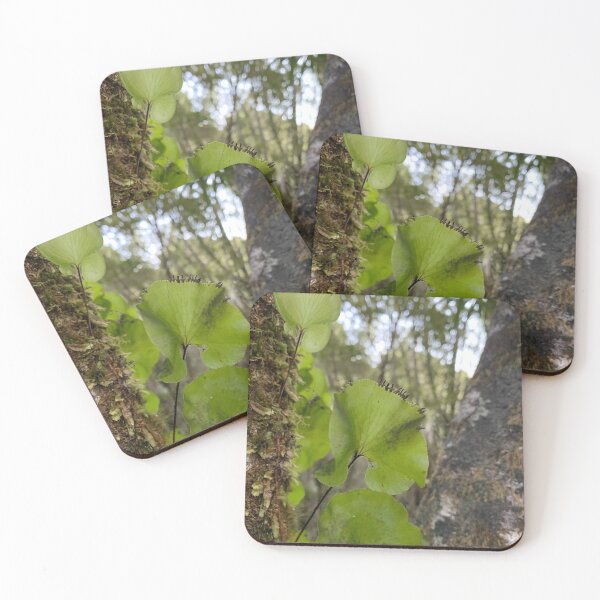 Item preview, Kidney fern 1 designed and sold by Terra Dumont.