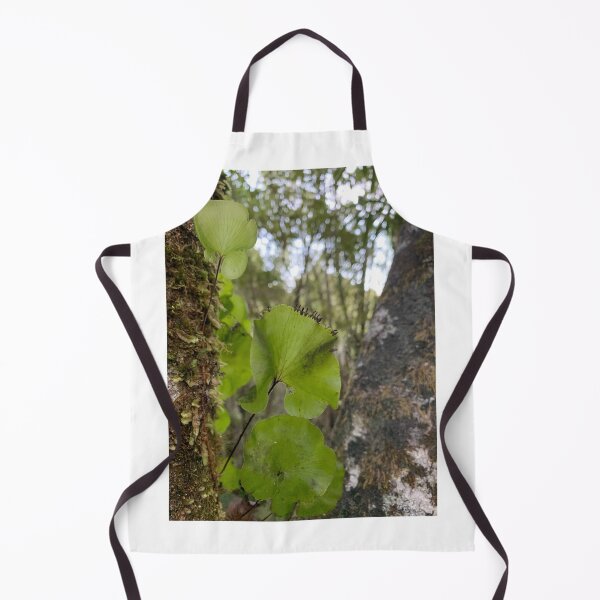 Item preview, Kidney fern 1 designed and sold by Terra Dumont.