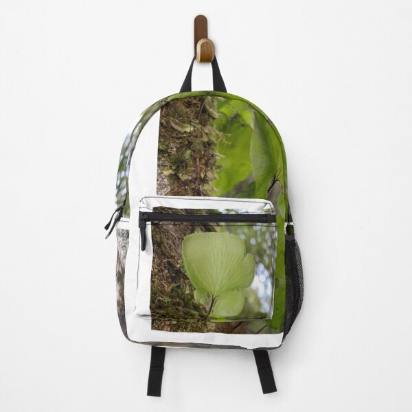 Item preview, Kidney fern 1 designed and sold by Terra Dumont.