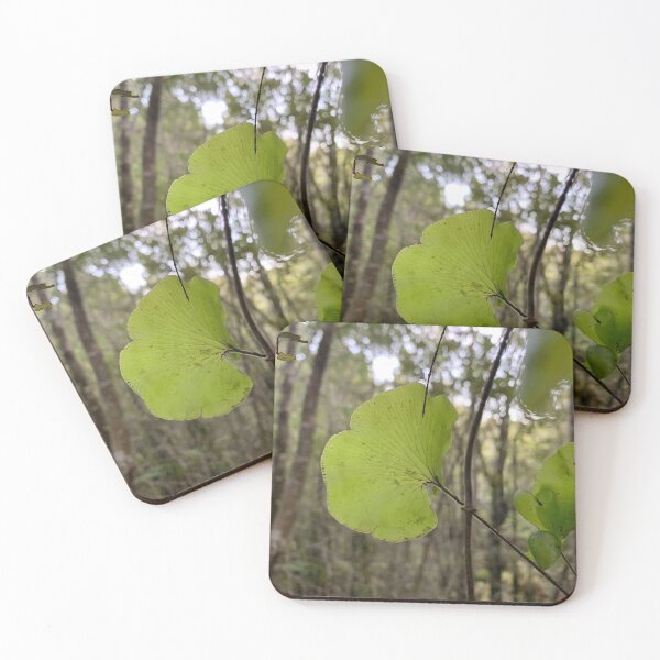 Item preview, Kidney fern 2 designed and sold by Terra Dumont.