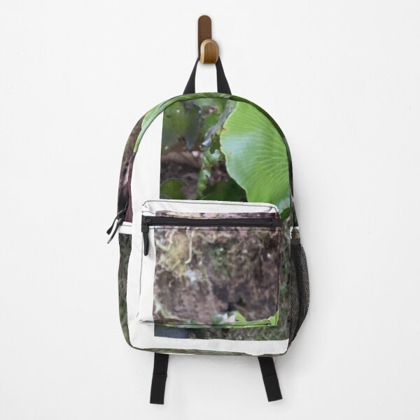 Item preview, Kidney fern 3 designed and sold by Terra Dumont.