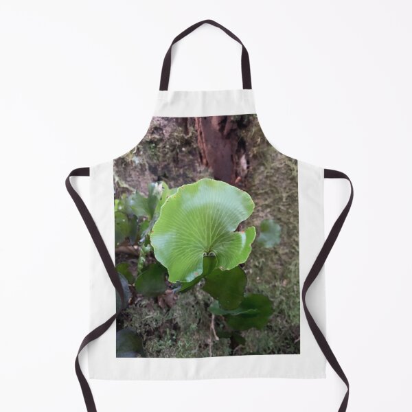 Item preview, Kidney fern 3 designed and sold by Terra Dumont.