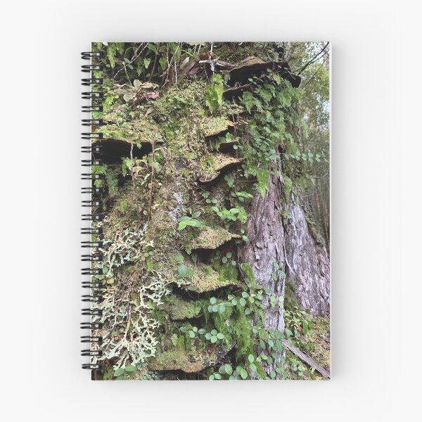 Item preview, Rata community  designed and sold by Terra Dumont.