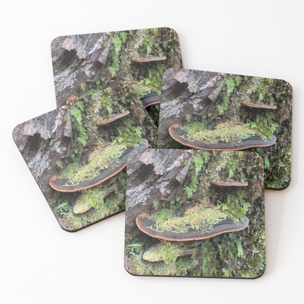 Item preview, Rata community 2 designed and sold by Terra Dumont.