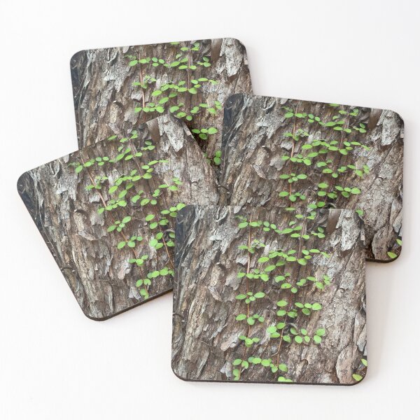 Item preview, Vine designed and sold by Terra Dumont.