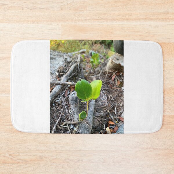 Item preview, Baby Griselinia designed and sold by Terra Dumont.