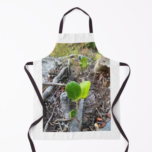 Item preview, Baby Griselinia designed and sold by Terra Dumont.