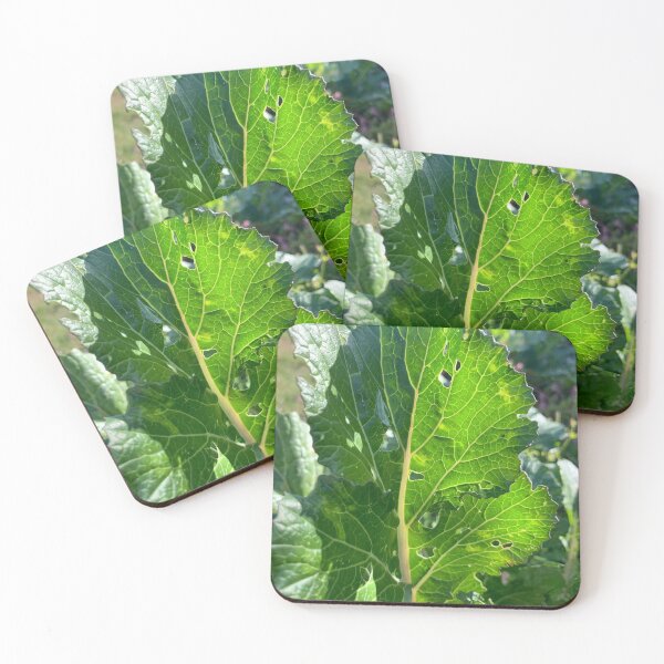 Item preview, Mizuna  designed and sold by Terra Dumont.