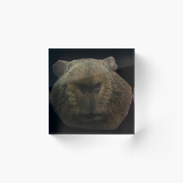 Aperçu de l'œuvre Groundhog Thing (Scout le cochon d'Inde) créée et vendue par ReckahFox.
