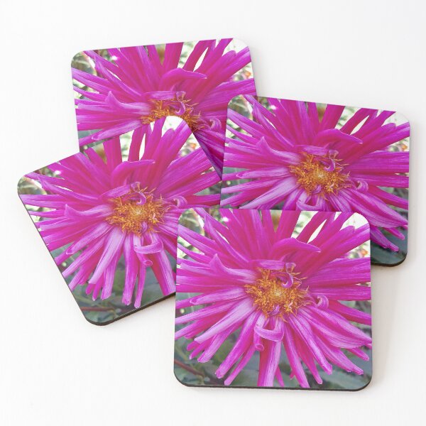 Item preview, de'Fiori Dahlia designed and sold by John Schneider.