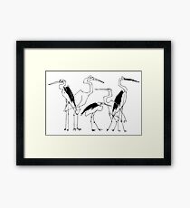 herons Framed Print