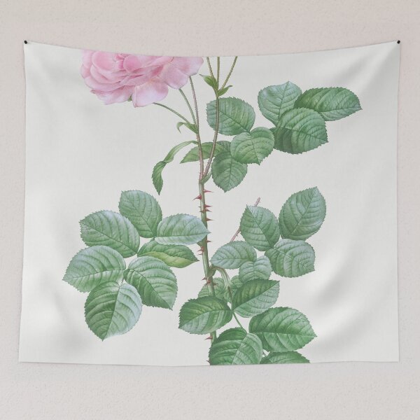Item preview, Les Roses by Pierre-Joseph Redouté designed and sold by EsotericBotanic.