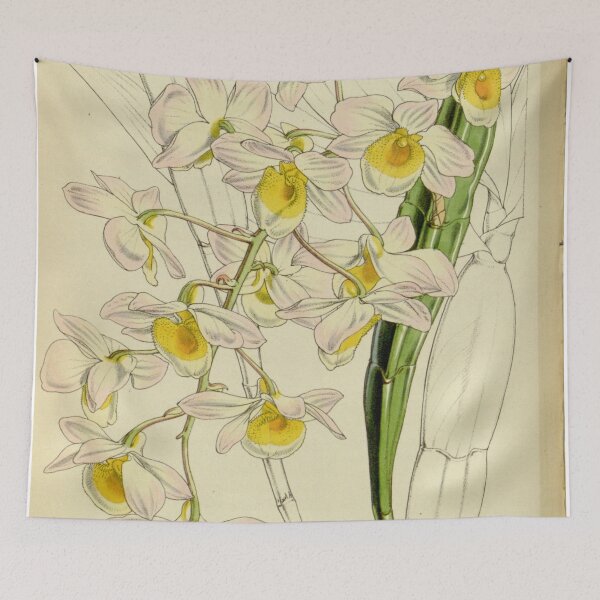 Item preview, Dendrobium farmeri Curtis' 78 (Ser. 3 no. 8) pl. 4659 (1852) designed and sold by EsotericBotanic.