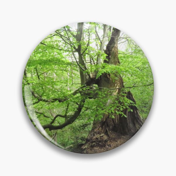 Item preview, The Ancient Beech Tree designed and sold by wiggyofipswich.