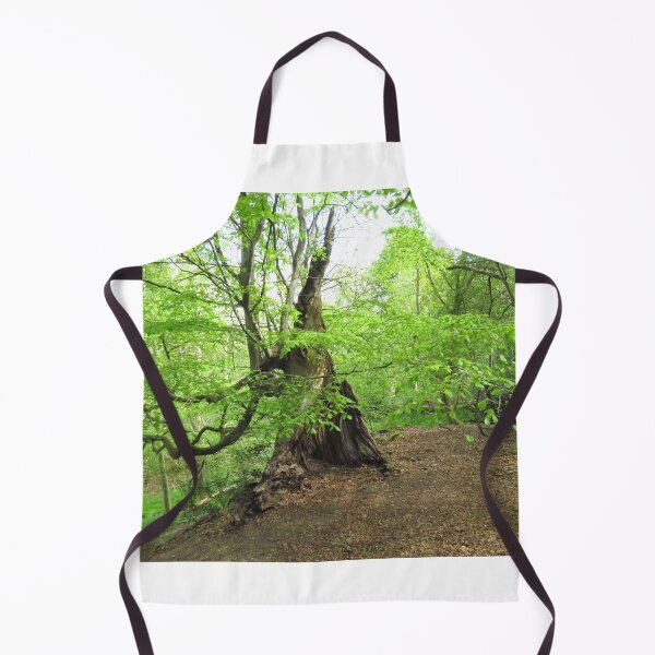 Item preview, The Ancient Beech Tree designed and sold by wiggyofipswich.