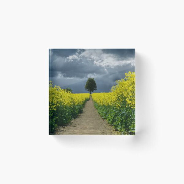 Item preview, Footpath To The Storm designed and sold by Alisonchambers2.
