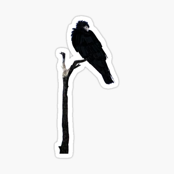 Punk Rock Raven Sticker