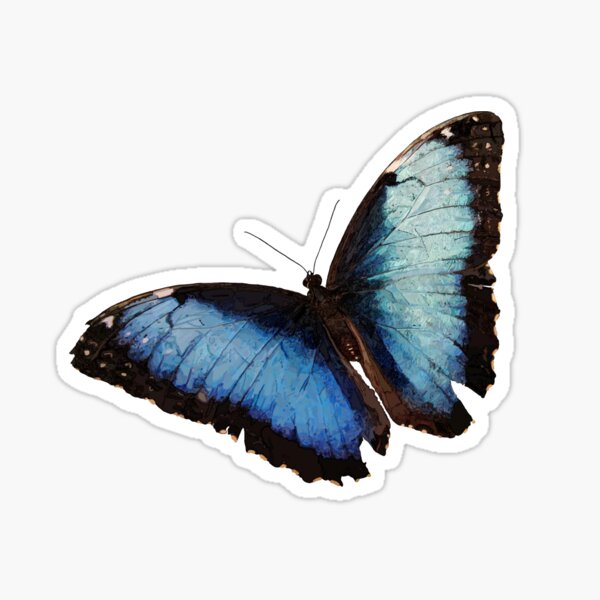 Blue Morpho Butterfly Sticker - Salty Kai