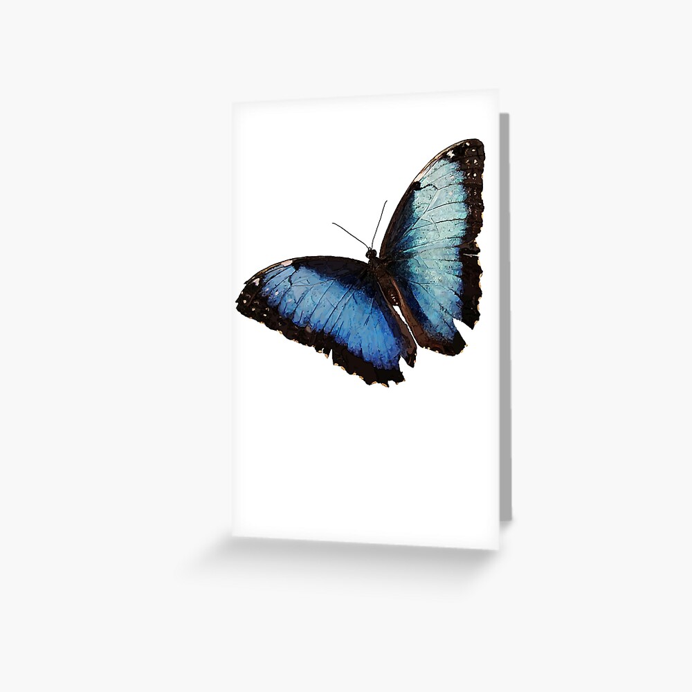 Blue Morpho Butterfly Greeting Card