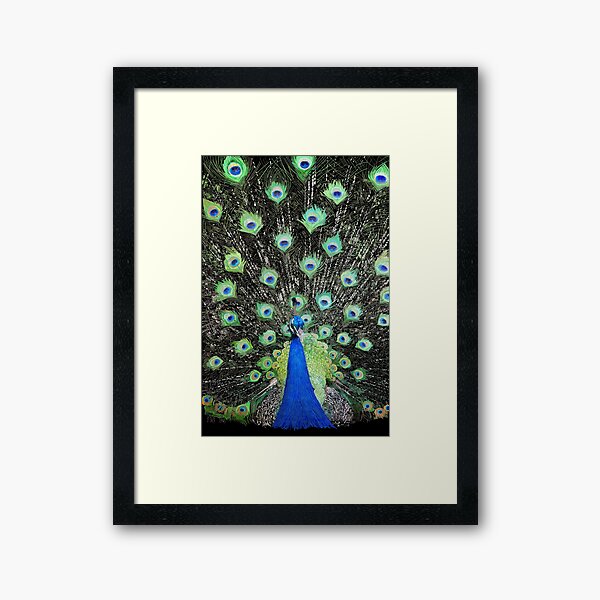 Framed Print