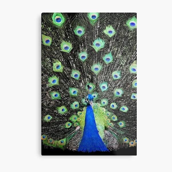 Metal Print