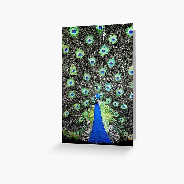 Greeting Card