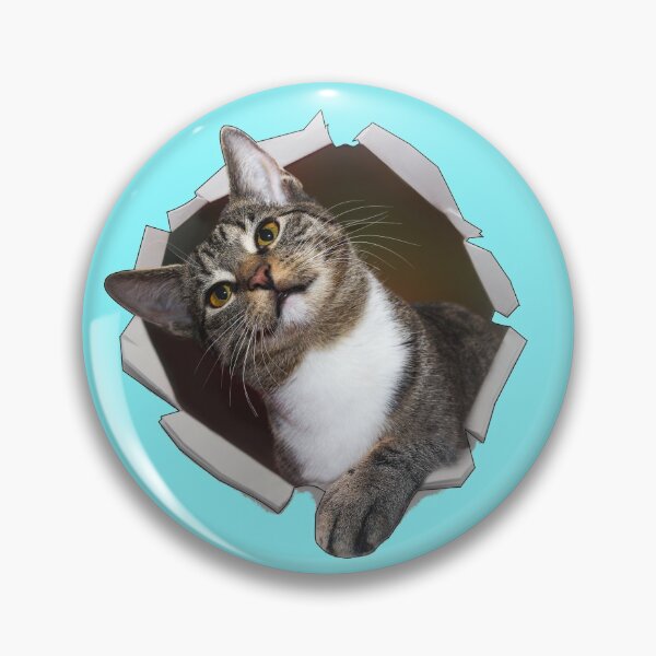 Item preview, Cat Out Of The Wall designed and sold by DTEH.
