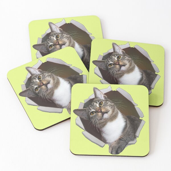Item preview, Cat Out Of The Wall designed and sold by DTEH.