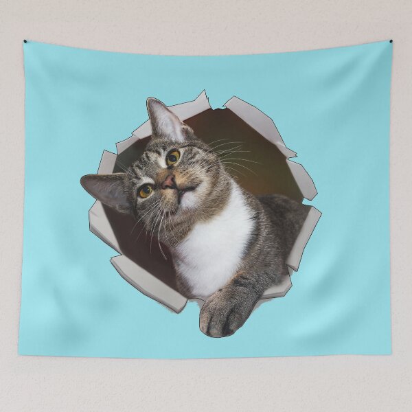 Item preview, Cat Out Of The Wall designed and sold by DTEH.