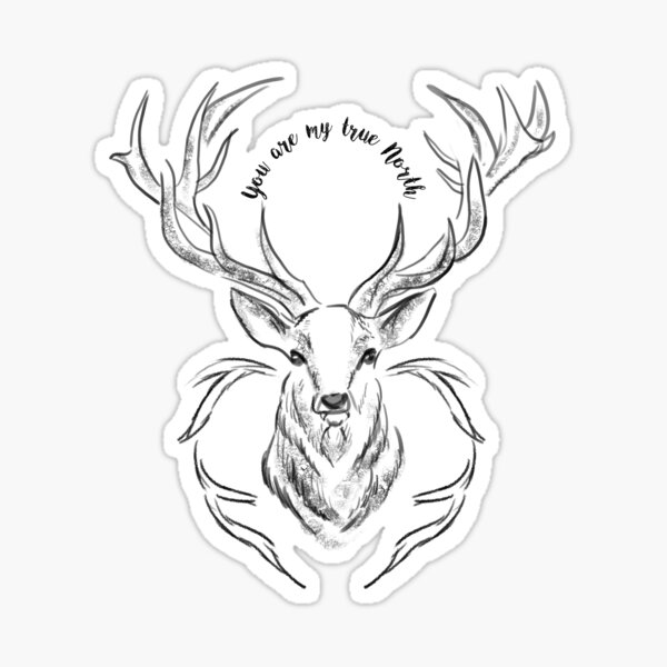 you-are-my-true-north-sticker-for-sale-by-sadafd-redbubble