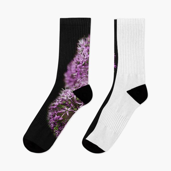 Aperçu de l'œuvre Fleurs violettes sur fond noir créée et vendue par olena2552.