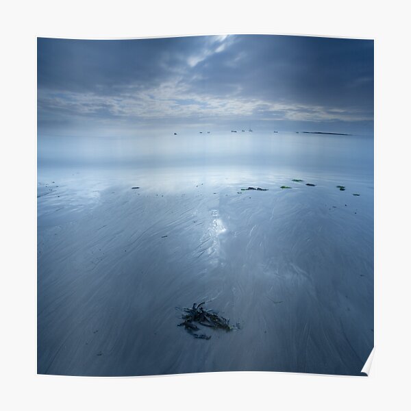 Seaweed Poster