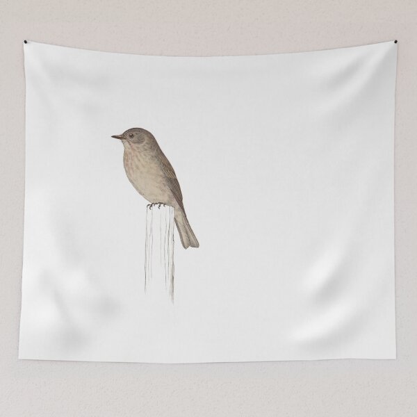 Item preview, Bird Art - Spotted Flycatcher  - Vintage Print Art designed and sold by Studio66Designs.