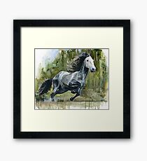 Running Andalusian Horse Framed Print