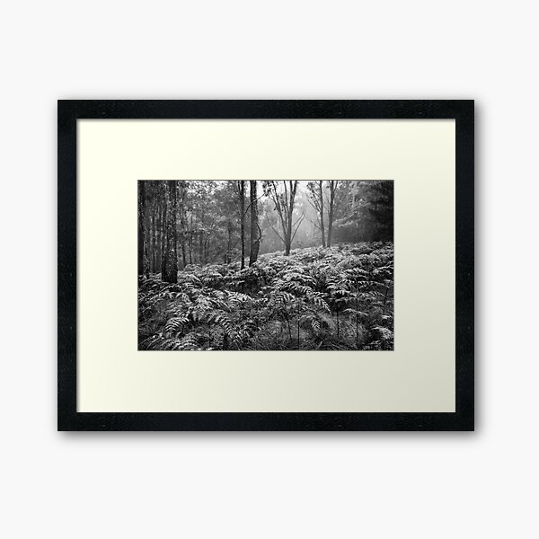 Item preview, Mount Macedon in Winter designed and sold by silvtom.