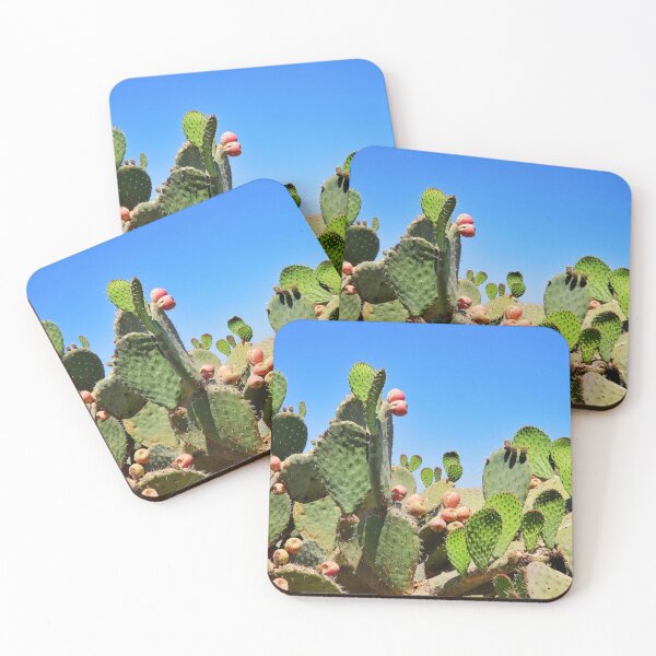 Item preview, Mexican Cactus Landscape- Nature Photograph designed and sold by CaratCo.