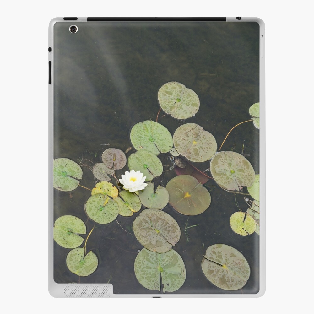 Lily Pad Cute Visitor A Little Turtle Emerging Among The Waterlilies Ipad Case Skin By Georgiam Redbubble