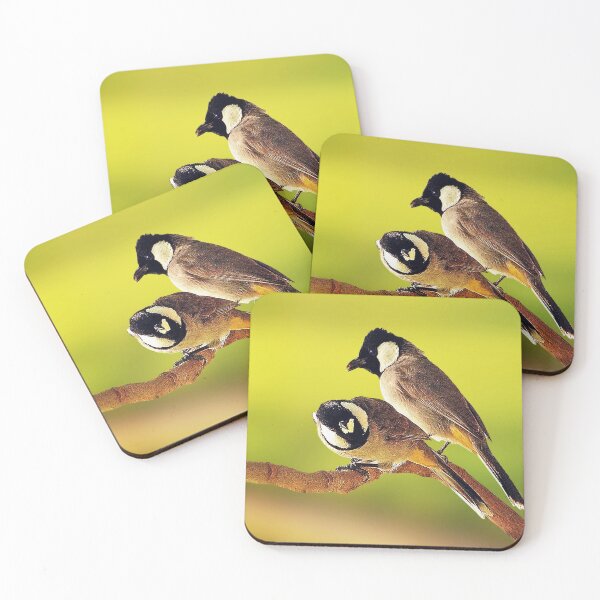 Item preview, Wild Birds White Necked Bulbul designed and sold by blueocan.