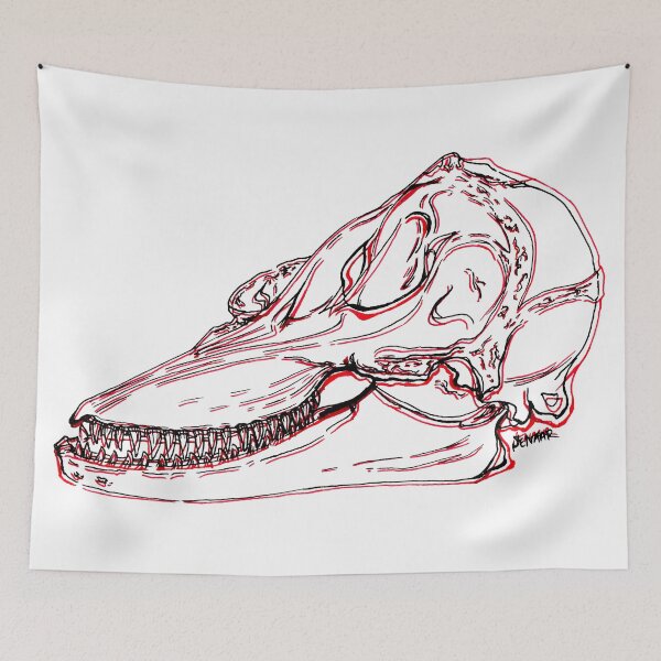 Item preview, Dolphin Skull designed and sold by -Senaar-.