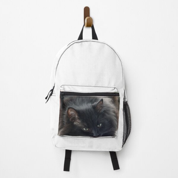 Item preview, the black cat that lies on the window designed and sold by Olga Kydryavskaya.