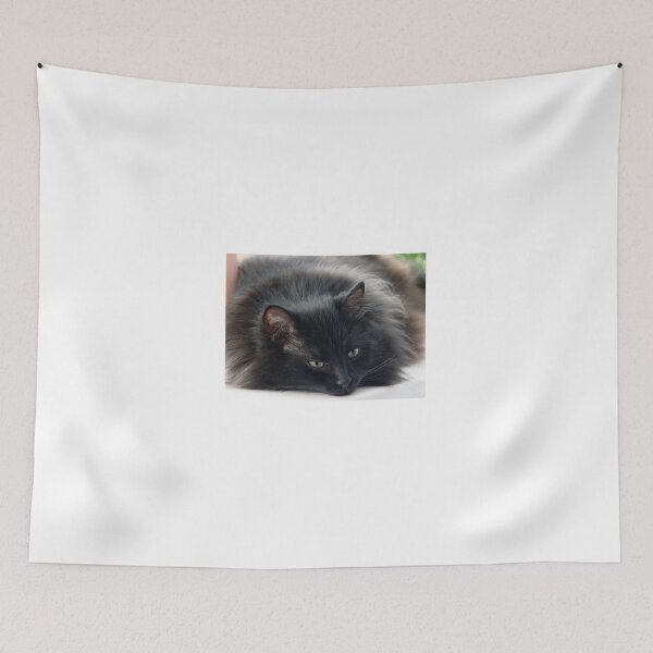 Item preview, the black cat that lies on the window designed and sold by Olga Kydryavskaya.