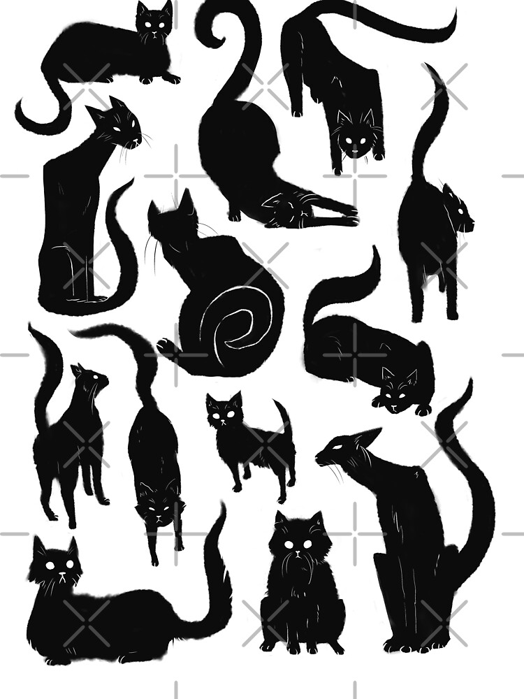 13 black cats