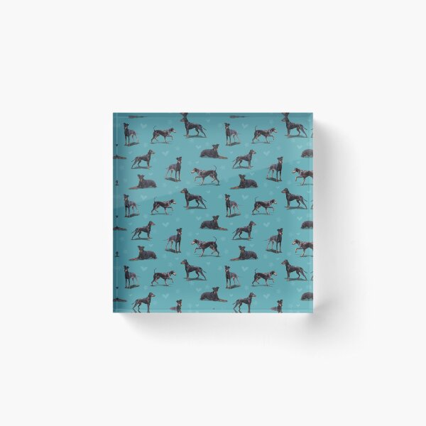 The Manchester Terrier Dog Acrylic Block