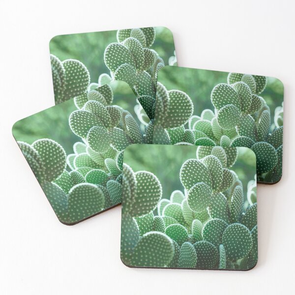 Item preview, Succulent Cacti Landscape- Nature Photograph designed and sold by CaratCo.